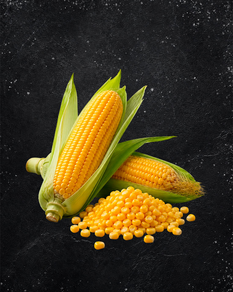 Продукты